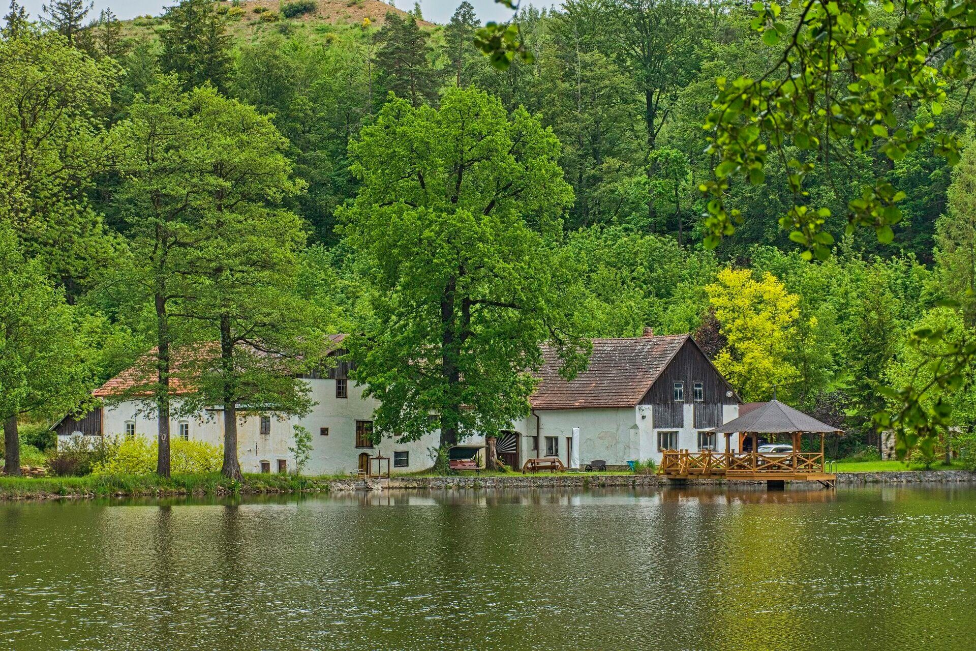 Ostatní, Radňov, Pelhřimov, 2 000 m²