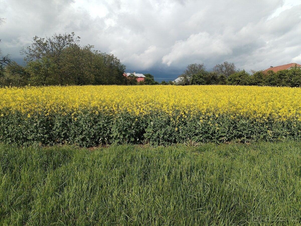 Prodej pozemek pro bydlení - Soběchleby, 753 54