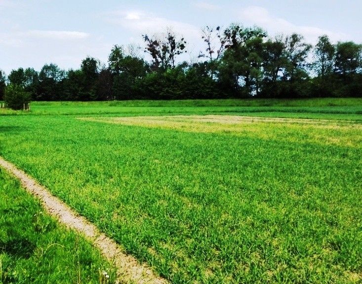 Pozemky pro bydlení, Mohelnice, 789 85