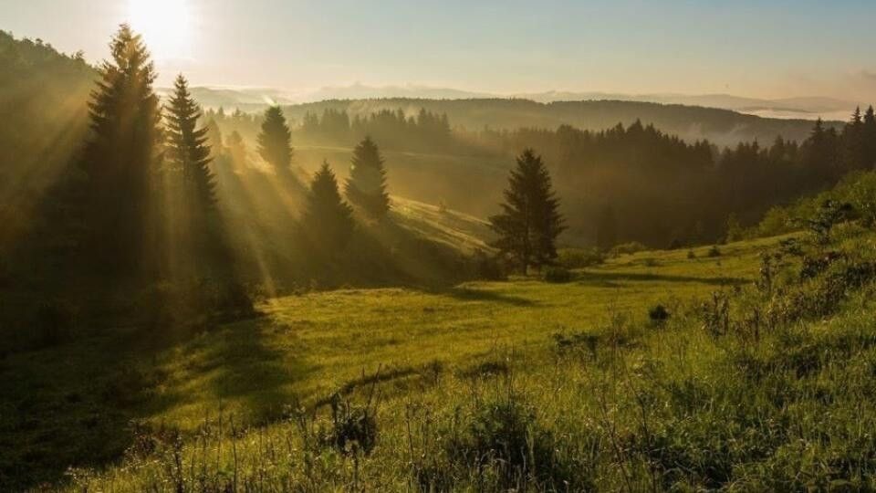 Pozemky pro bydlení, Trutnov, 541 01