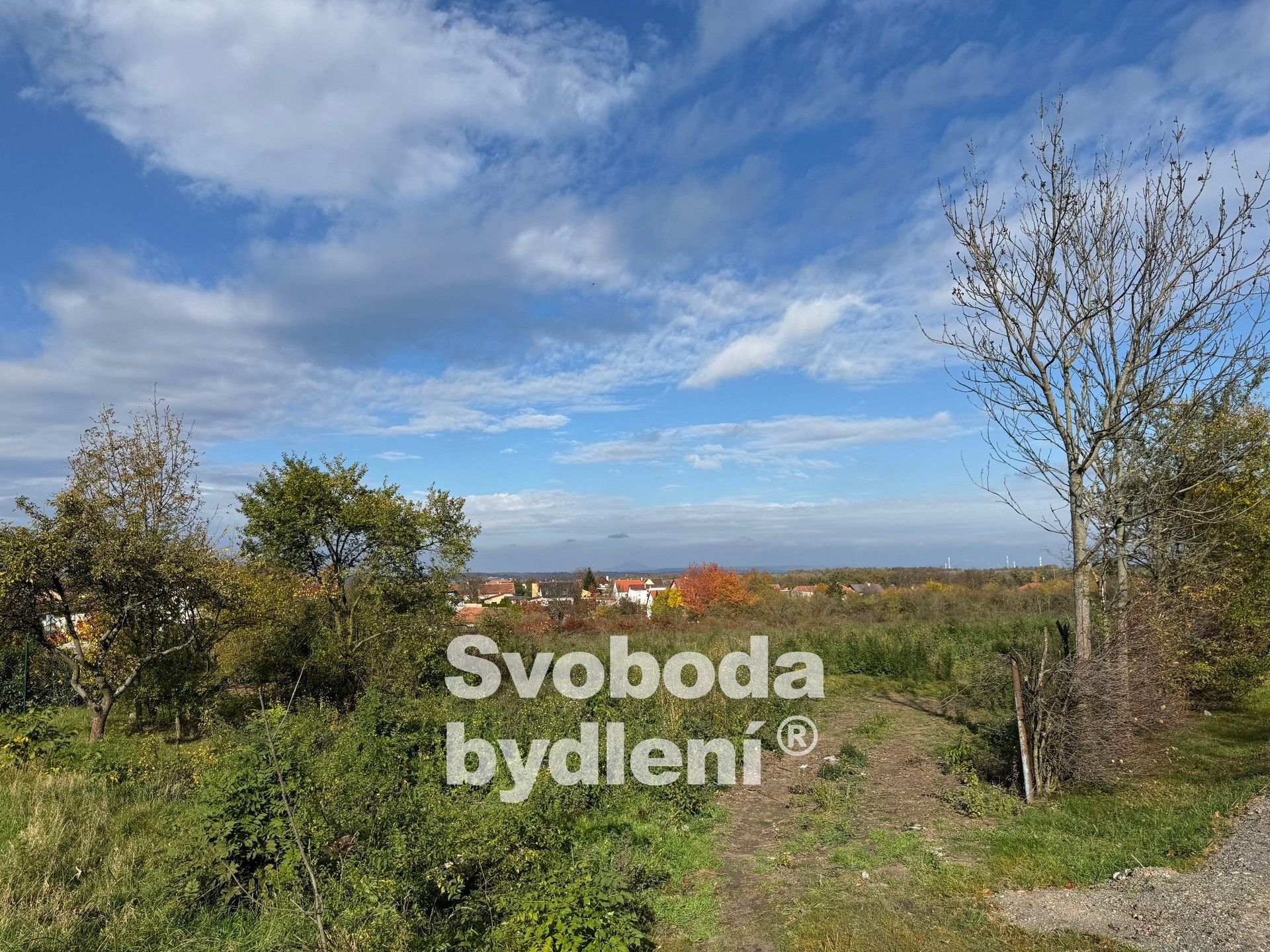 Ostatní, U Hasičárny, Holubice, 20 330 m²