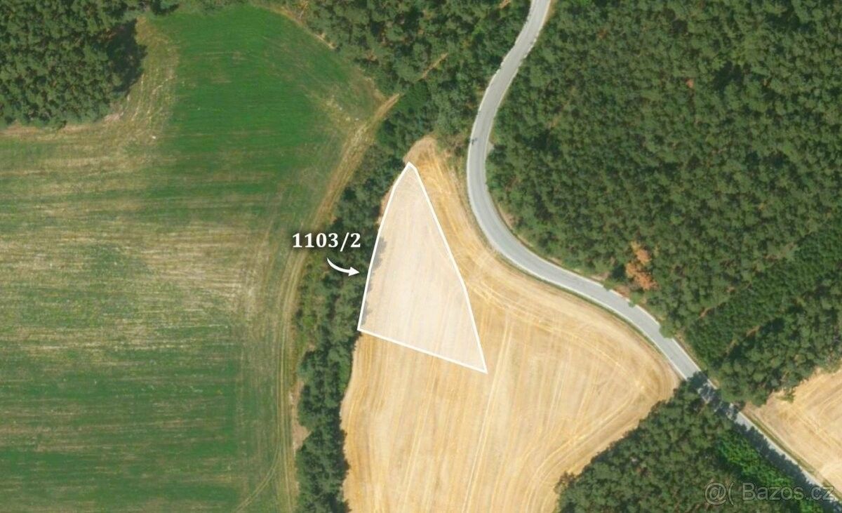 Prodej zemědělský pozemek - Kralovice, 331 41, 15 355 m²