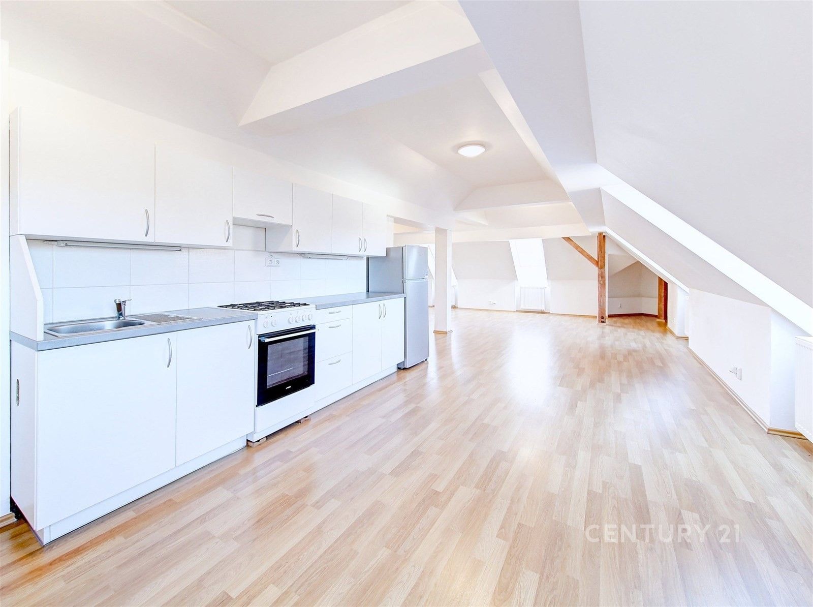 3+kk, Tůmova, Praha, 140 m²