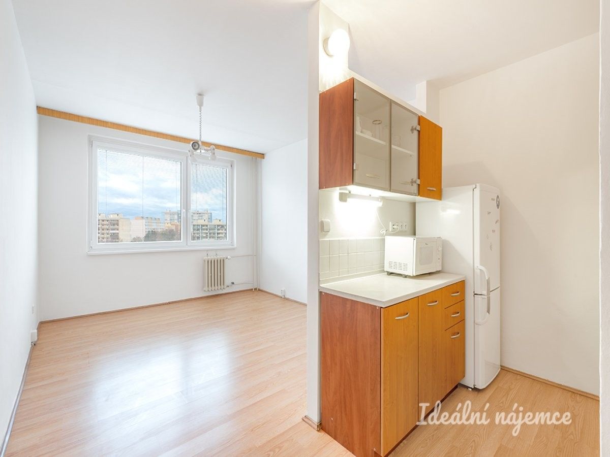 1+kk, Bukolská, Praha, 29 m²