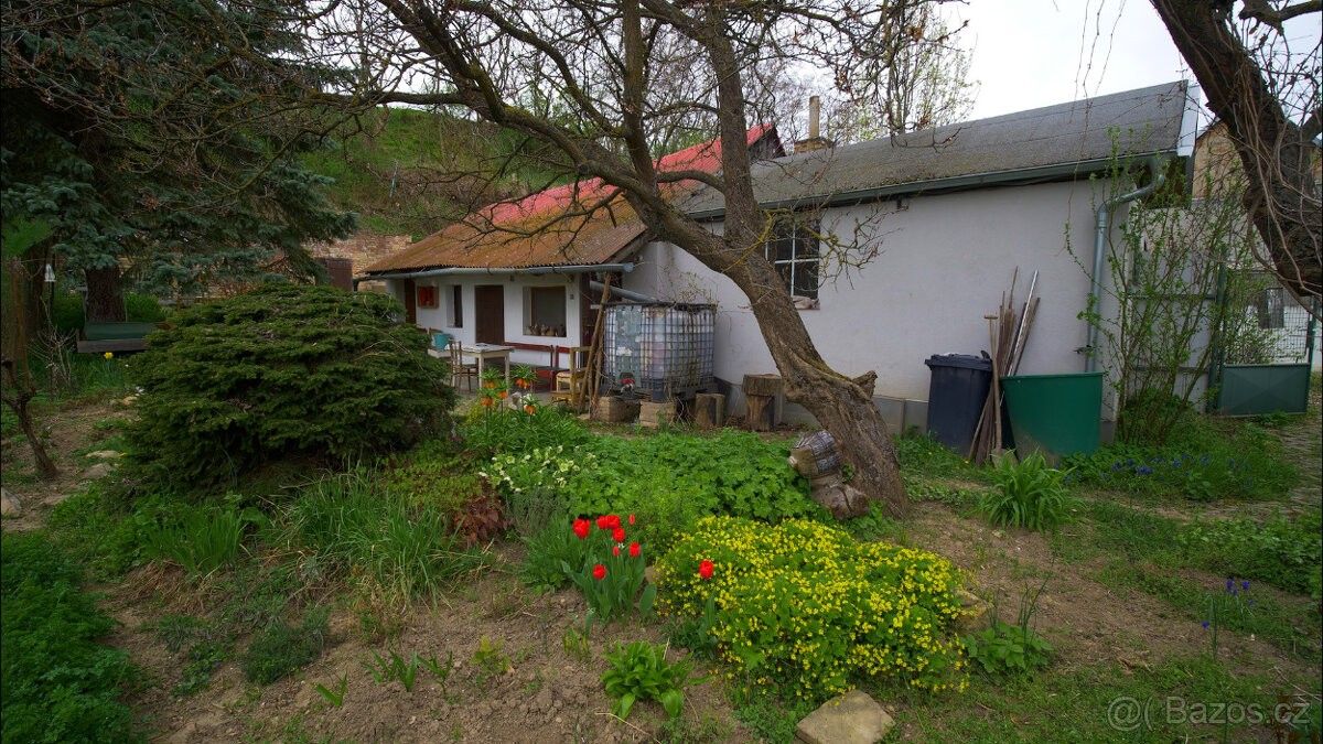 Rodinné domy, Hustopeče u Brna, 693 01