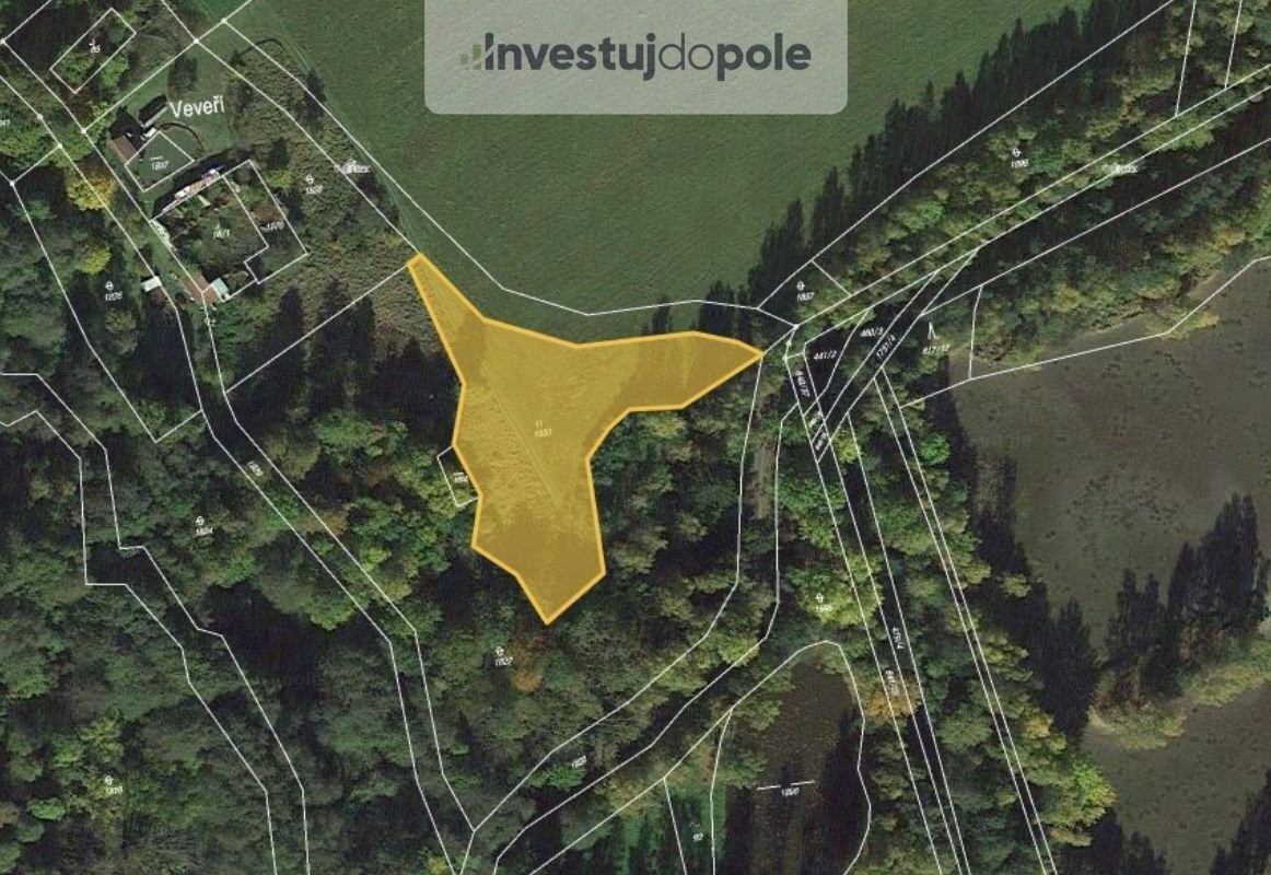 Louky, Veveří, Nové Hrady, 3 100 m²