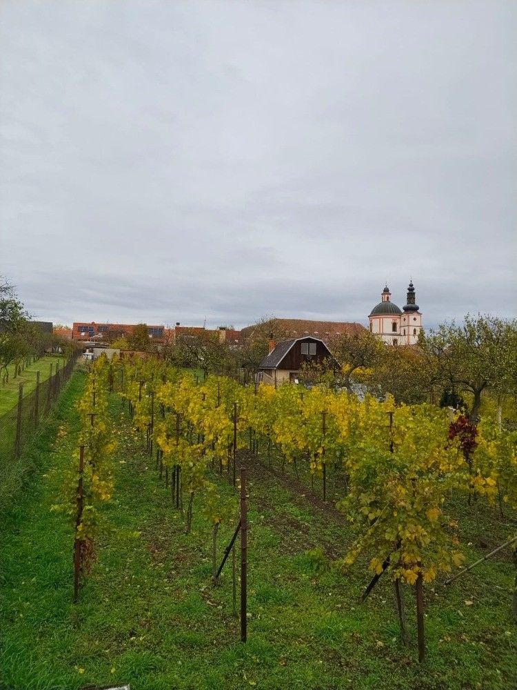 Zahrady, Dobšice, 671 82