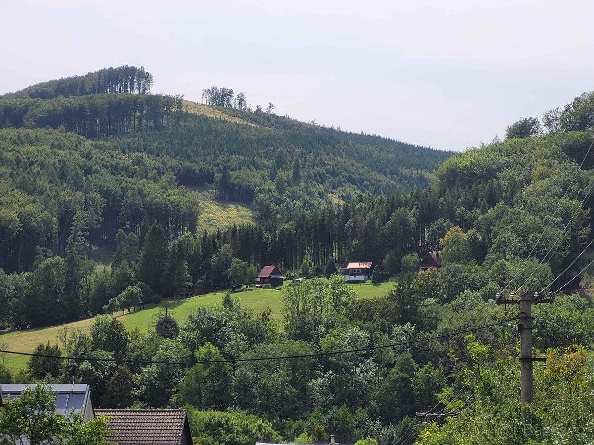 Prodej dům - Bystřice pod Hostýnem, 768 41, 40 m²