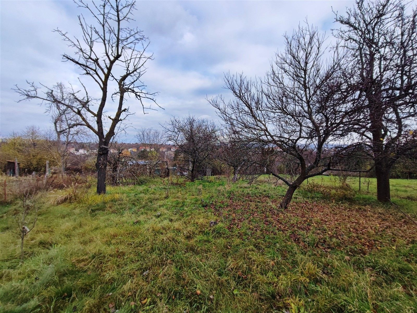 Chaty, Horní Heršpice, Brno, 16 m²