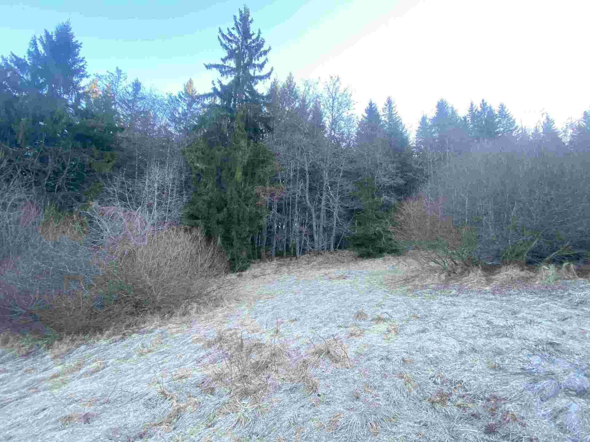 Prodej pozemek - Železná Ruda, 2 m²