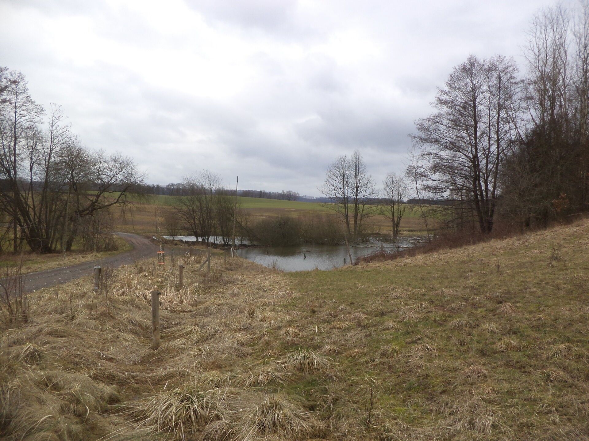 Zemědělské pozemky, Ostrov, 1 m²