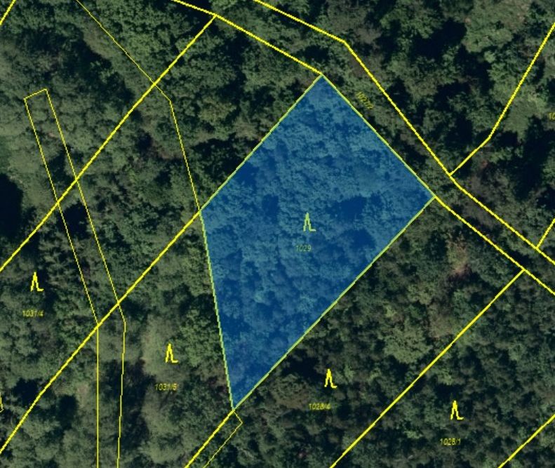 Lesy, Kyjovice, 4 928 m²