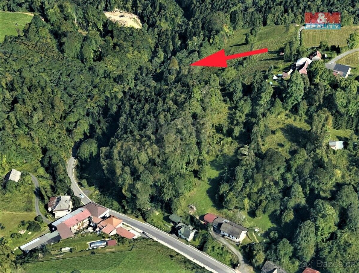 Lesy, Železný Brod, 468 22, 987 m²