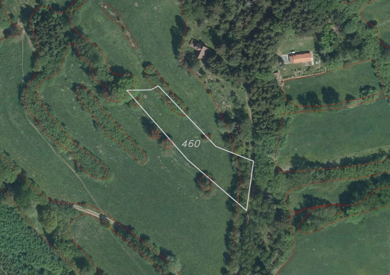 Prodej zemědělský pozemek - Čejkov, Nový Rychnov, 14 413 m²