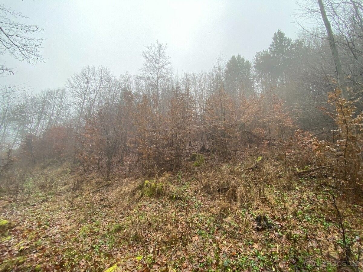 Pozemky pro bydlení, Zábřeh, 789 01