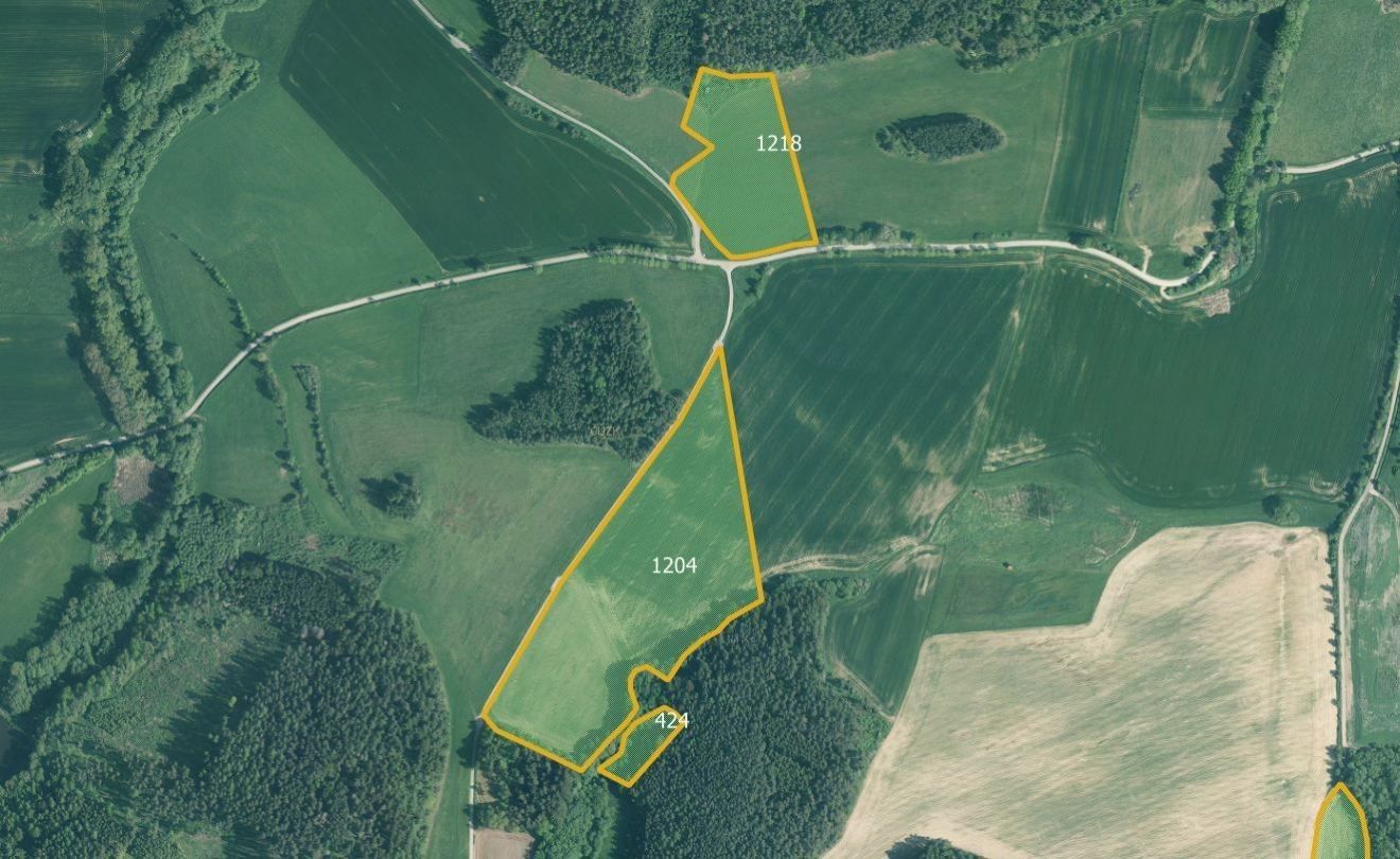 Prodej zemědělský pozemek - Kuřimany