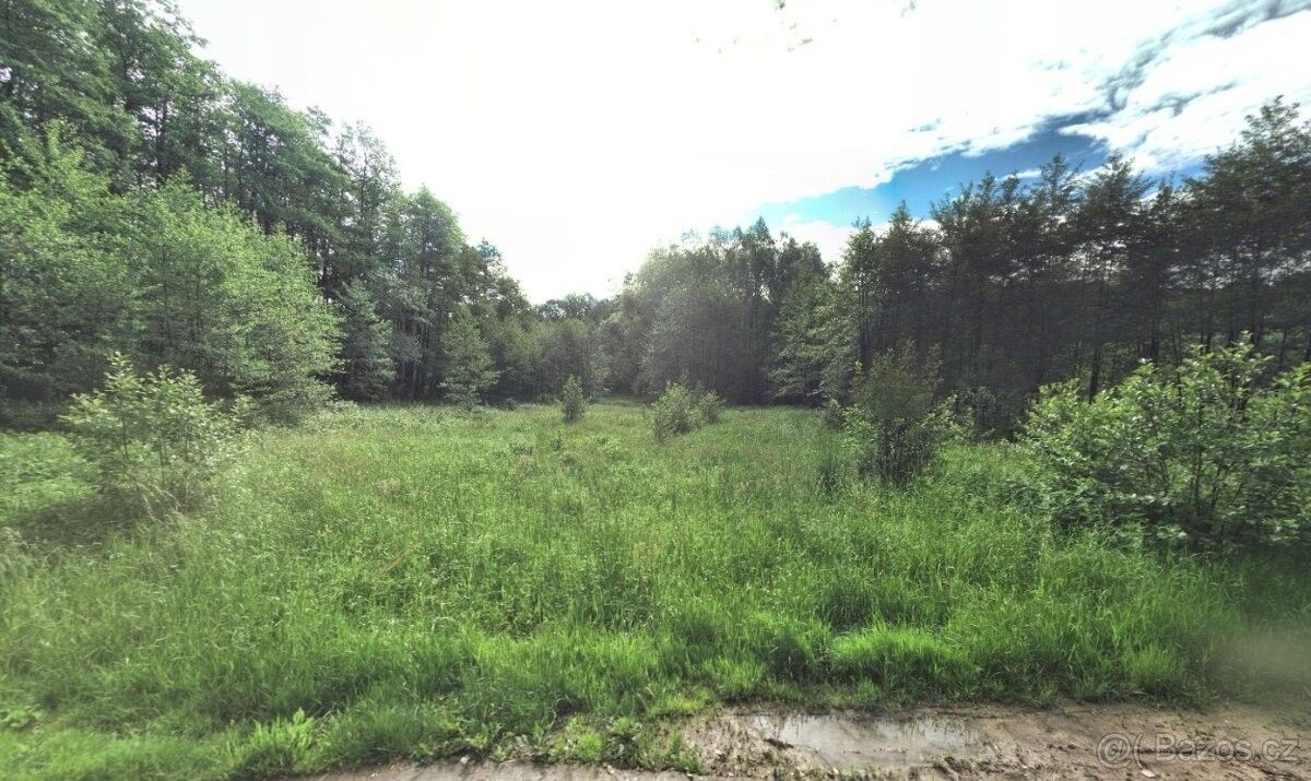 Prodej pozemek pro bydlení - Dětmarovice, 735 71