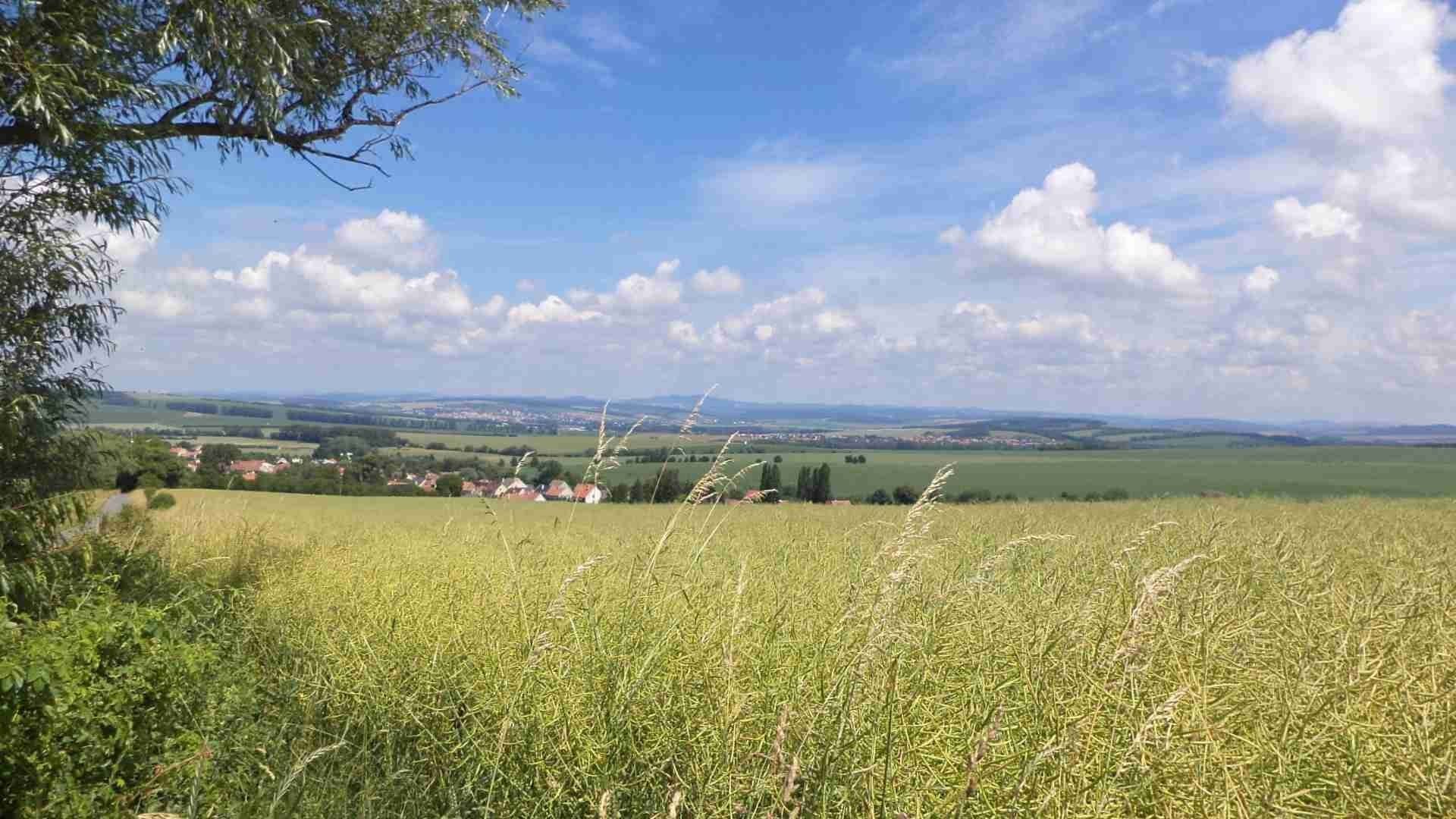 Zemědělské pozemky, Uherský Brod, 8 978 m²