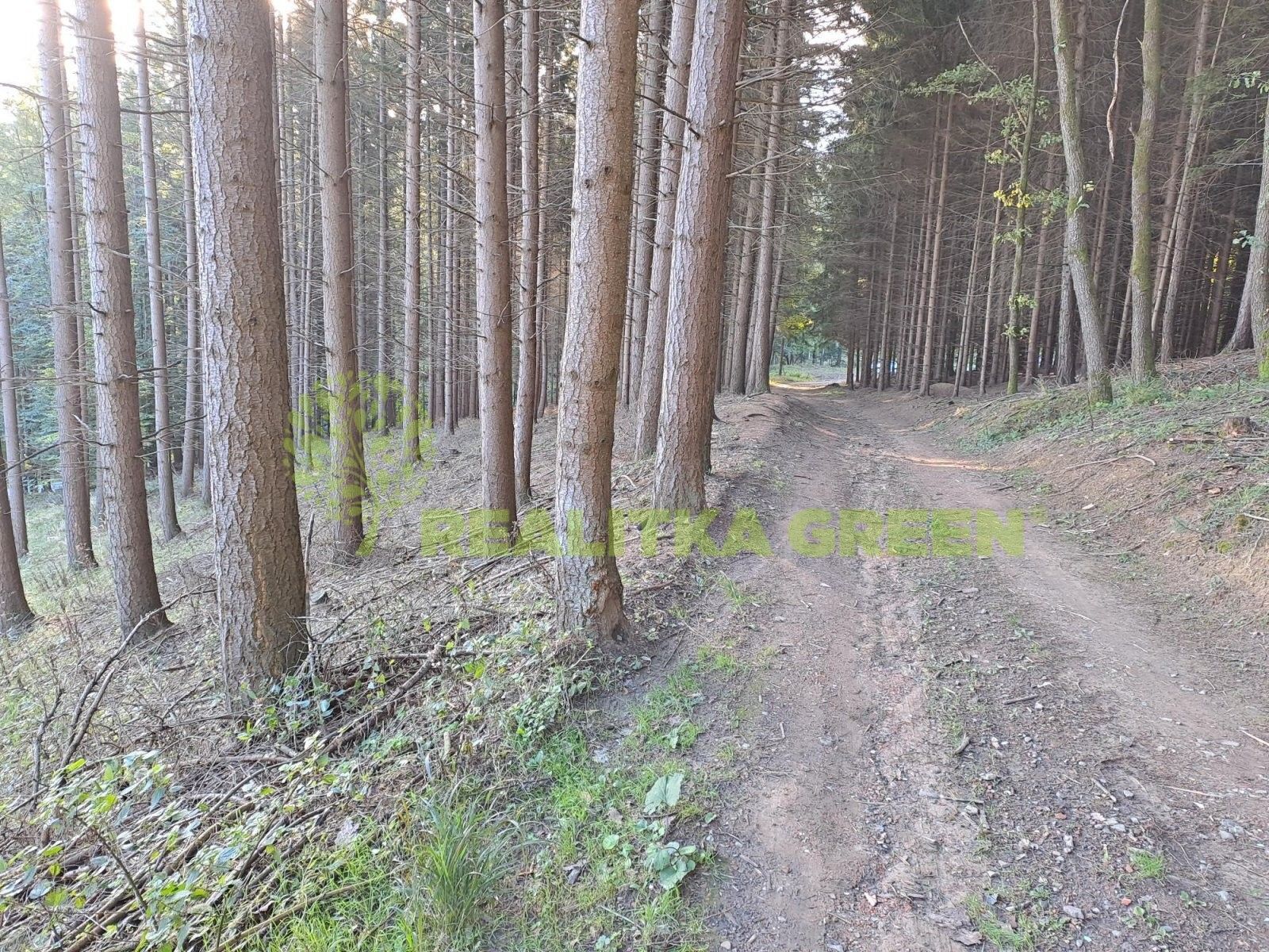 Lesy, Velíková, Zlín, 152 613 m²