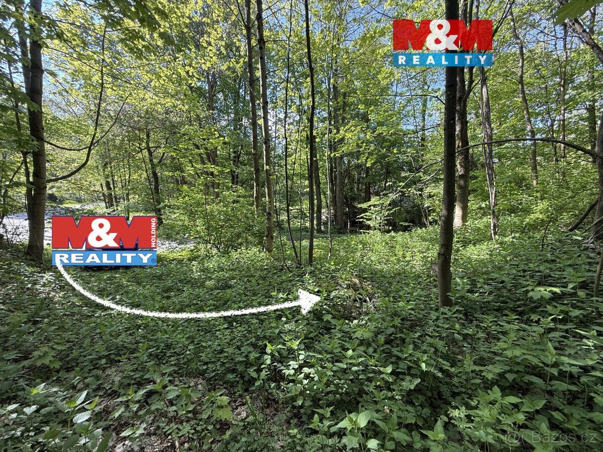 Pozemky pro bydlení, Dolní Morava, 561 69