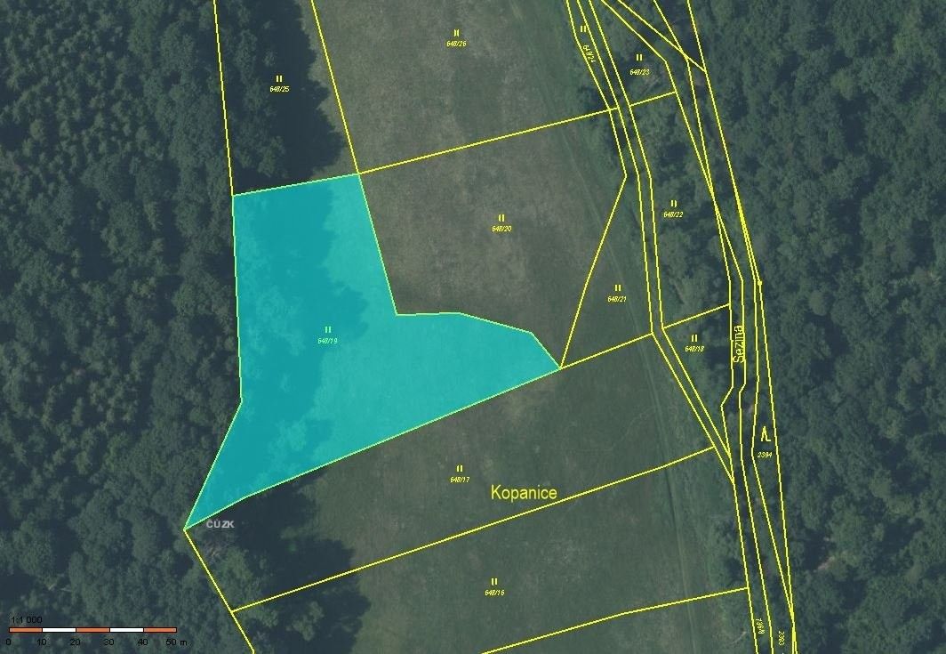 Prodej zemědělský pozemek - Bítov