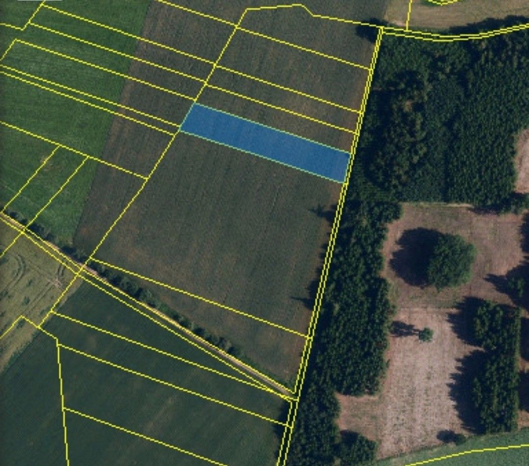 Pozemky pro bydlení, Lesonice, 675 44