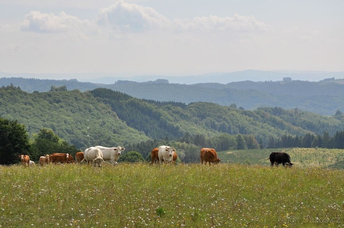 Prodej pozemek pro bydlení - Lanškroun, 563 01, 250 m²