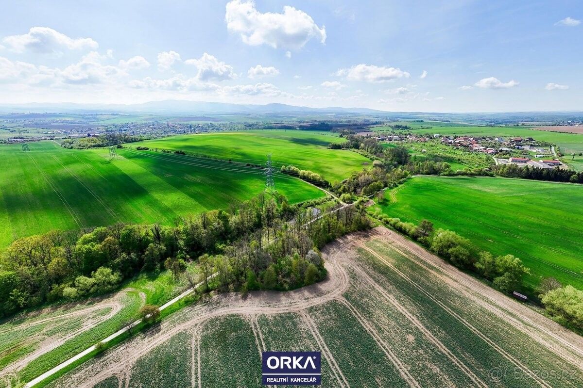 Pozemky pro bydlení, Soběchleby, 753 54