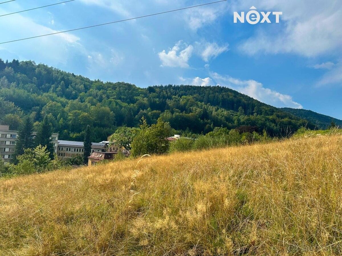 Prodej pozemek pro bydlení - Desná v Jizerských horách, 468 61