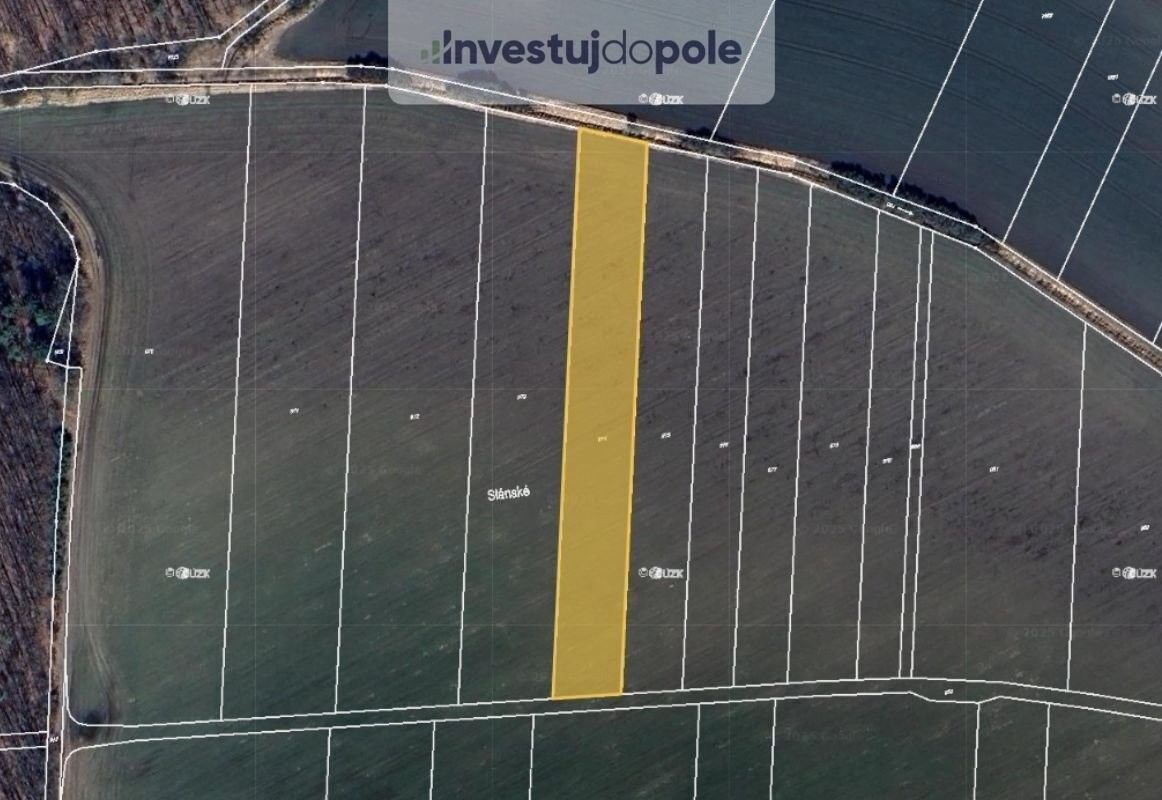 Zemědělské pozemky, Choťovice, 6 966 m²