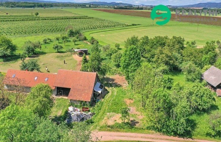 Prodej pozemek pro bydlení - Lužany, 1 003 m²