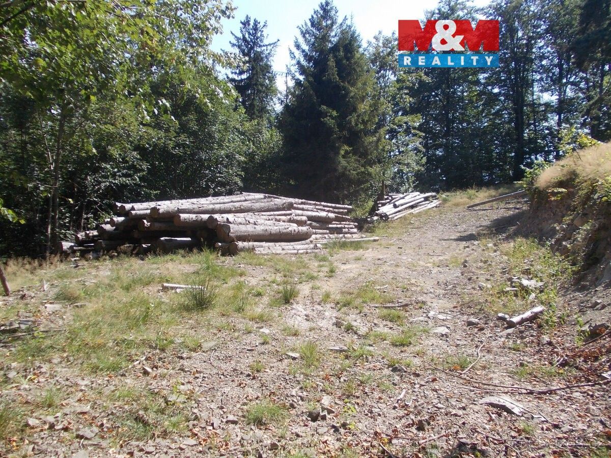 Pozemky pro bydlení, Frýdlant nad Ostravicí, 739 11