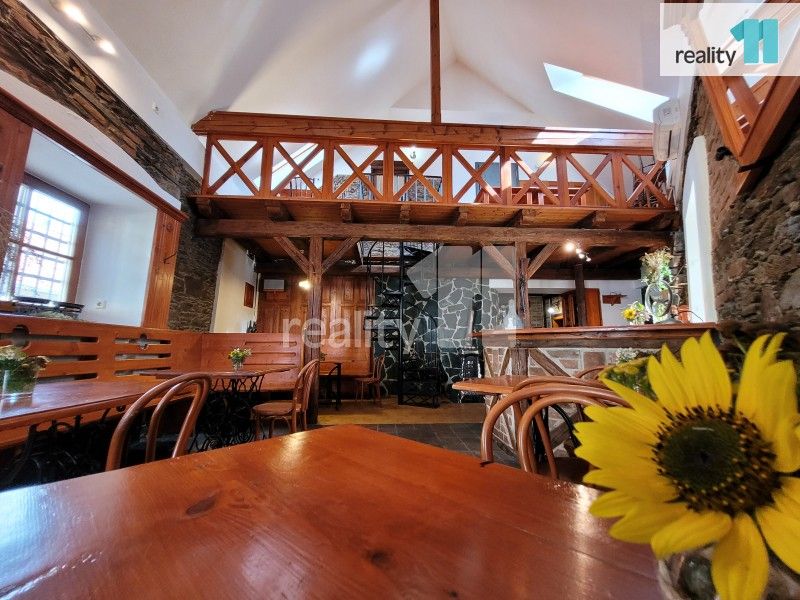 Restaurace, Havelcova, Kolín, 100 m²