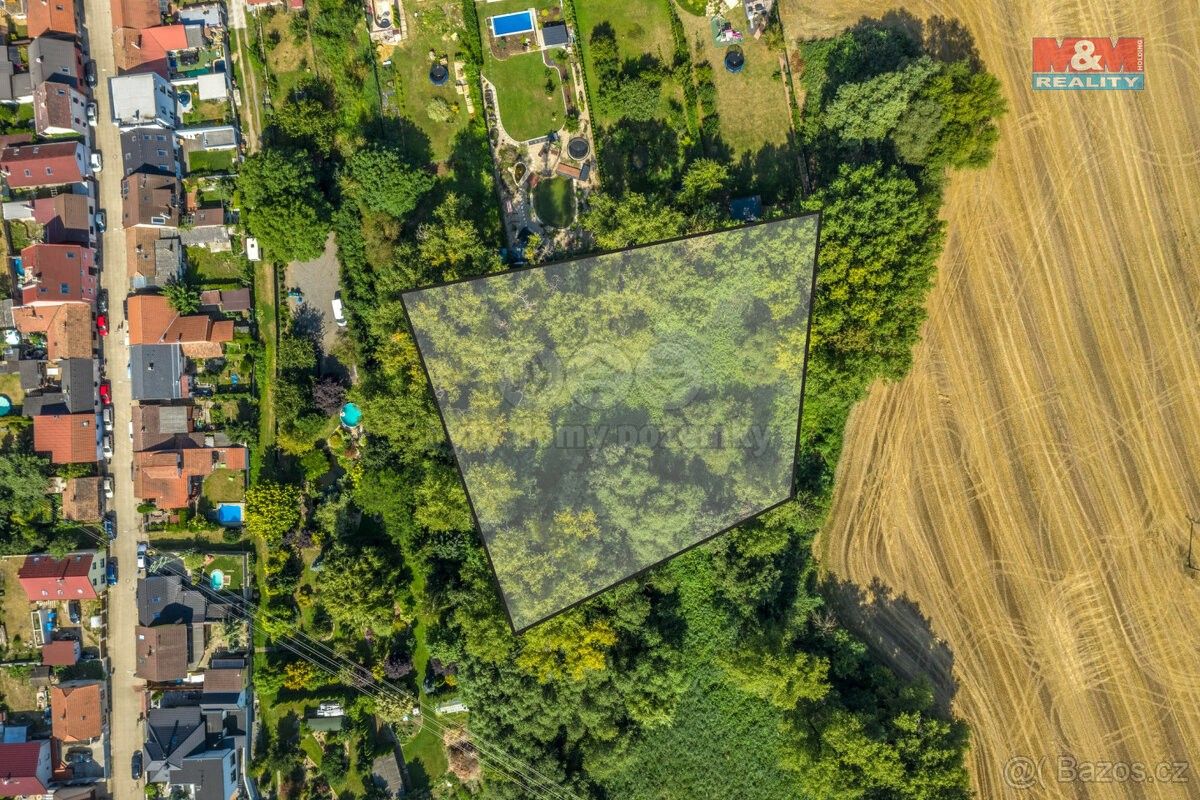 Prodej les - Kostelec nad Labem, 277 13, 10 056 m²