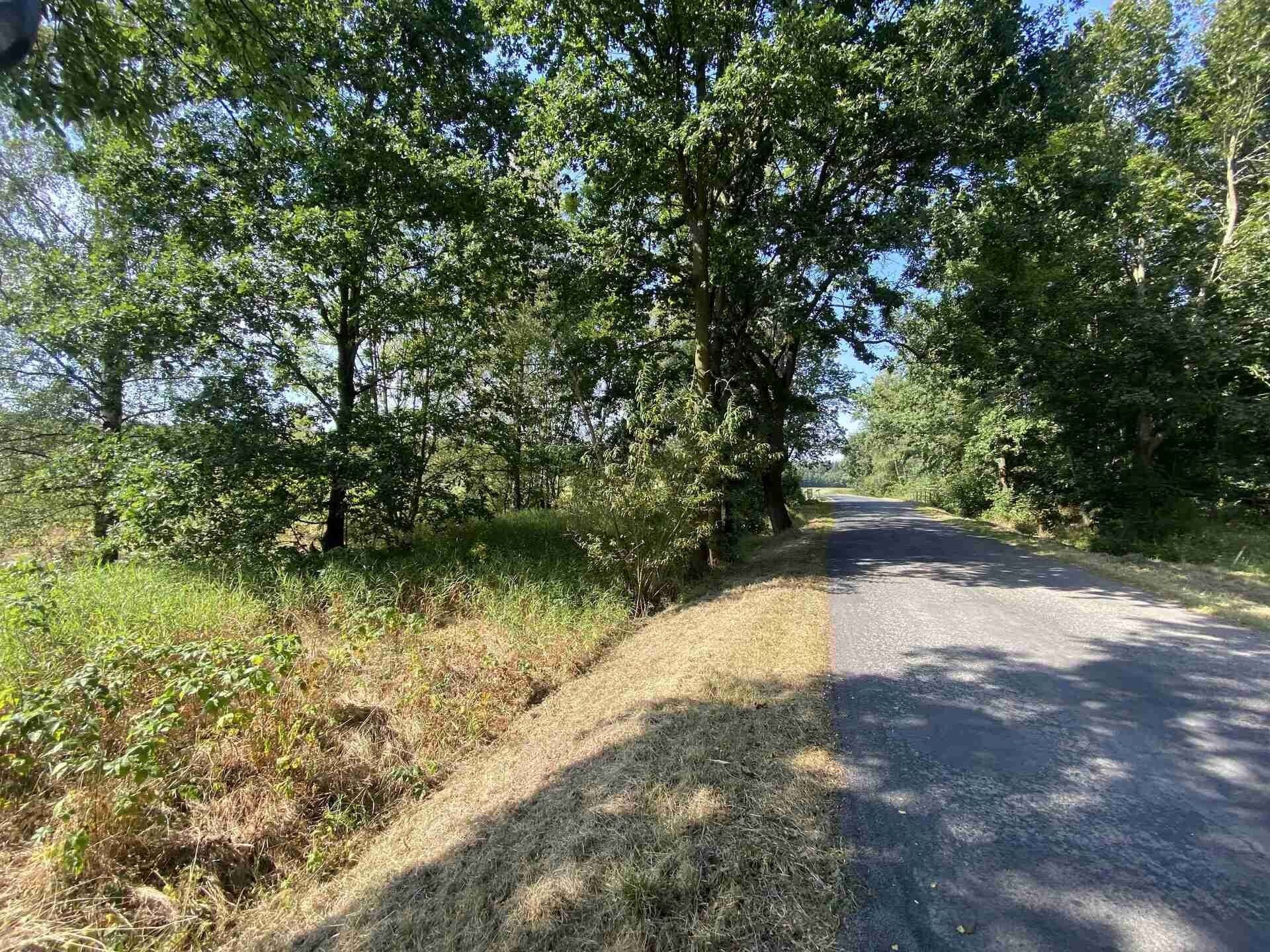 Ostatní, Lipová, 200 m²