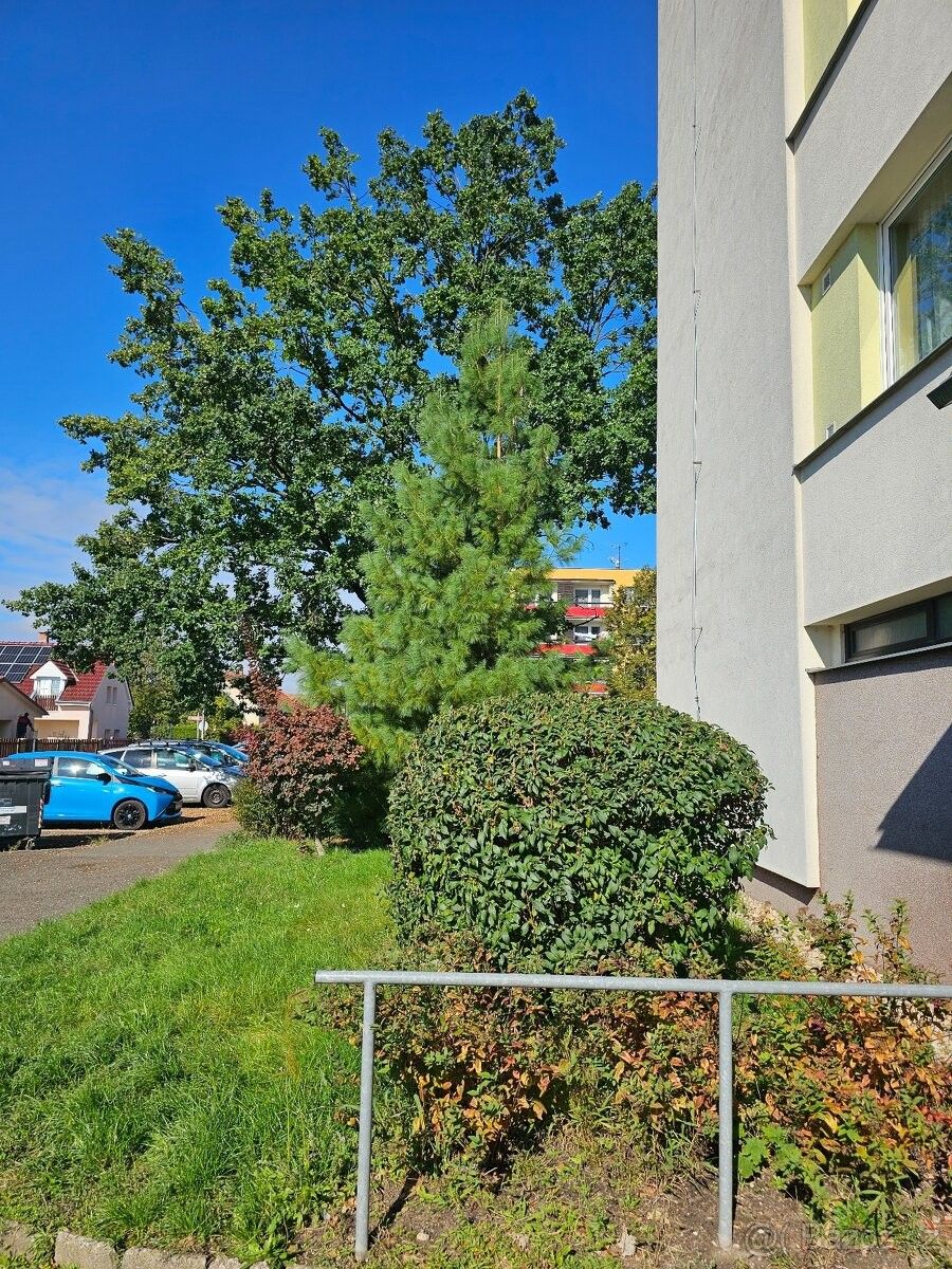 Prodej byt 3+1 - Hradec Králové, 503 41, 74 m²