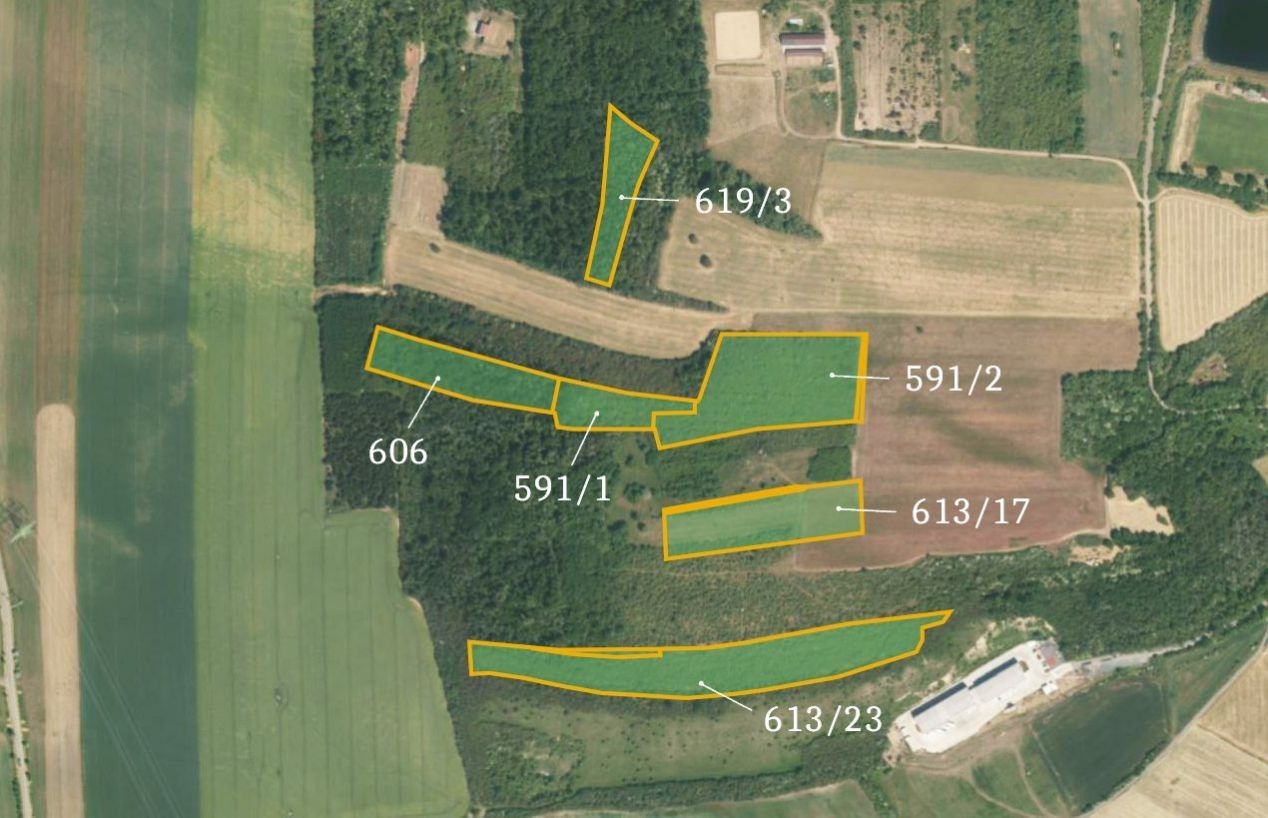 Prodej zemědělský pozemek - Dřínov, 28 854 m²