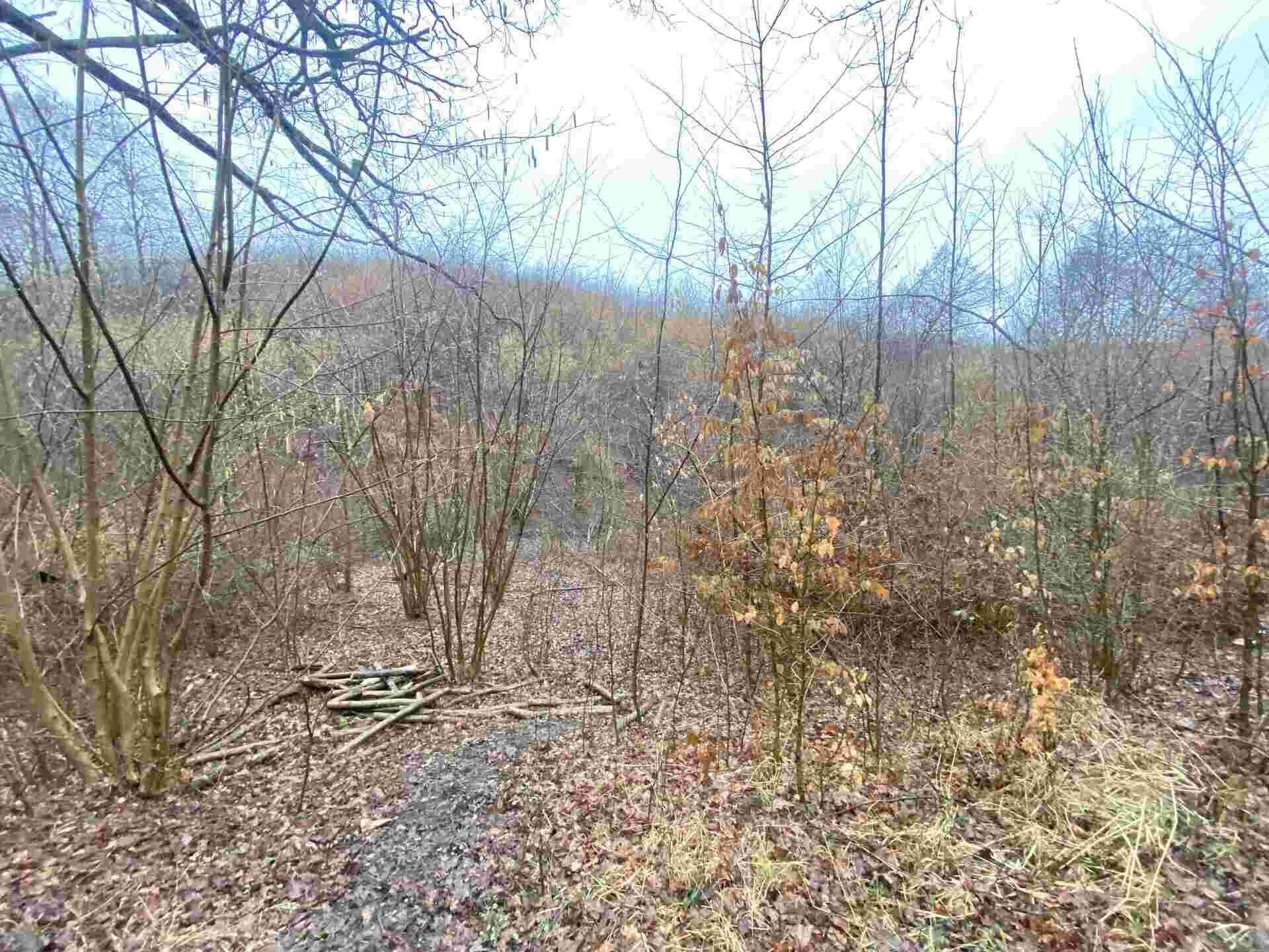 Prodej zemědělský pozemek - Ždánice, 3 m²