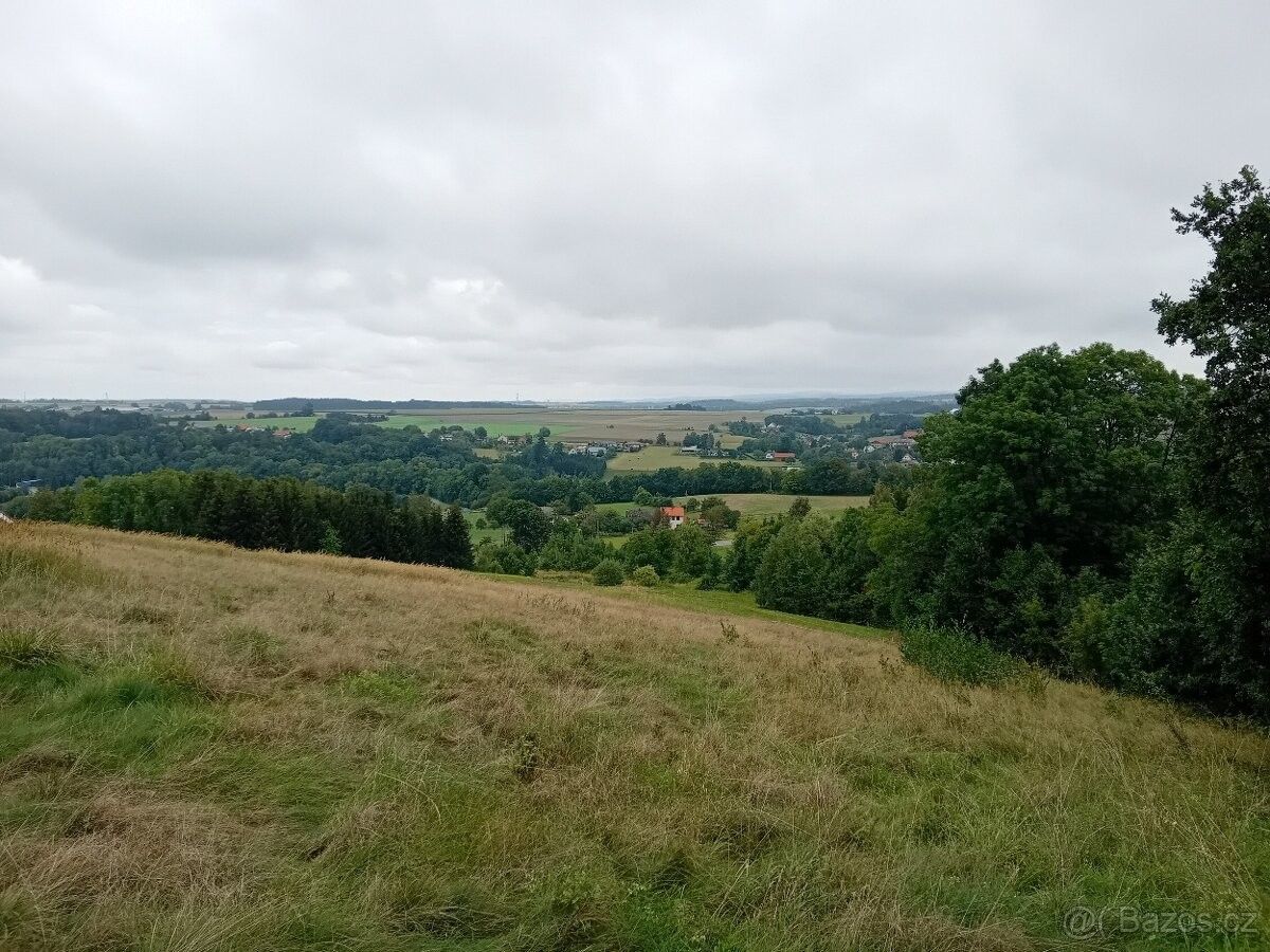 Prodej louka - Pěčín u Rychnova nad Kněžnou, 517 57, 6 000 m²