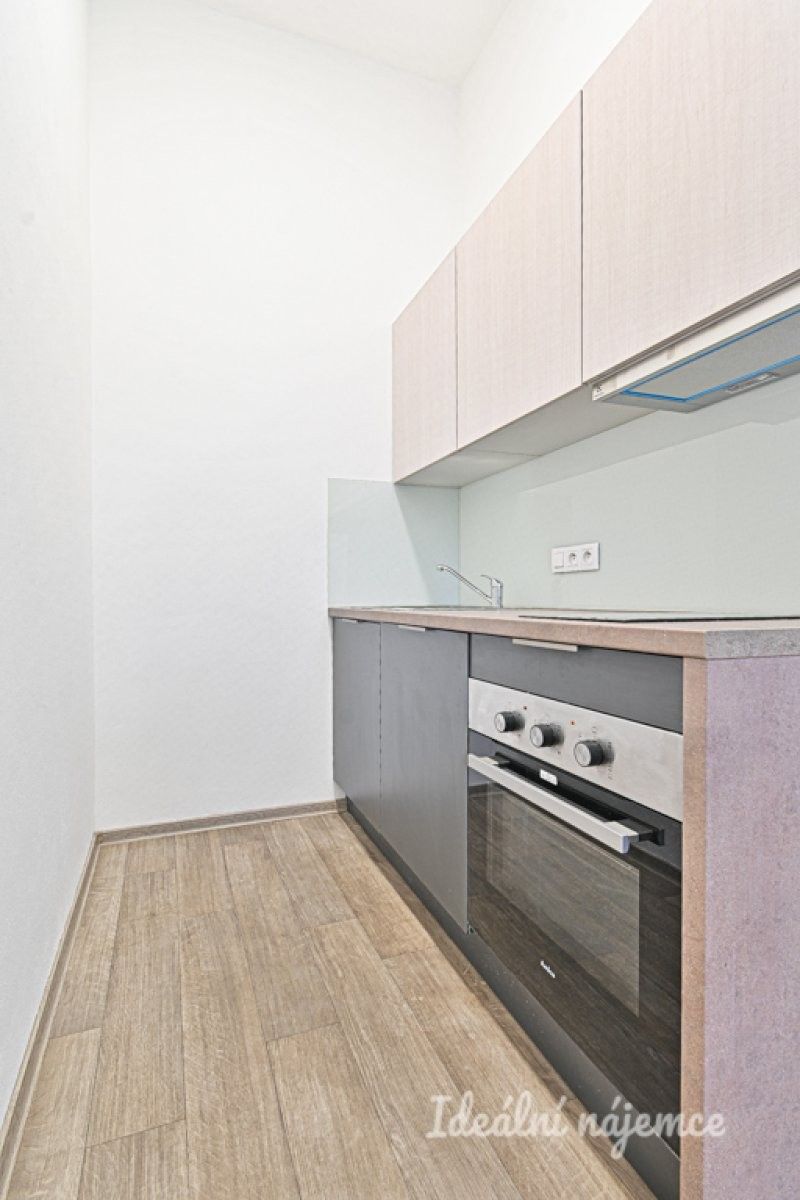 1+kk, Bašty, Brno, 39 m²