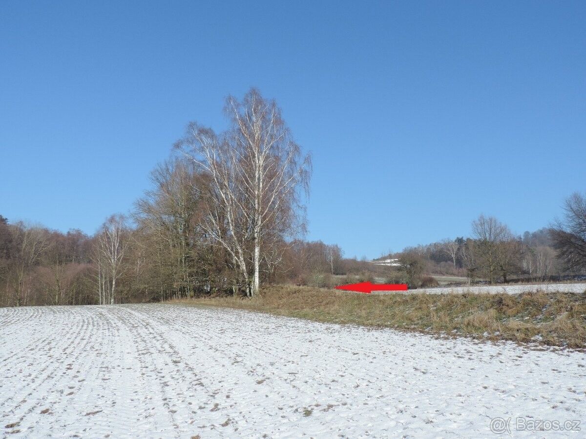 Prodej les - Hamr u České Lípy, 471 28, 7 170 m²