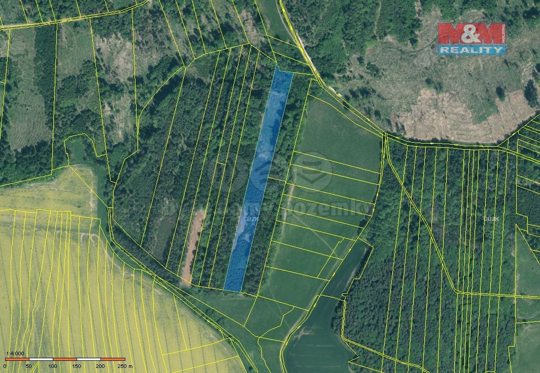 Prodej les - Jetětice, 398 48, 17 738 m²