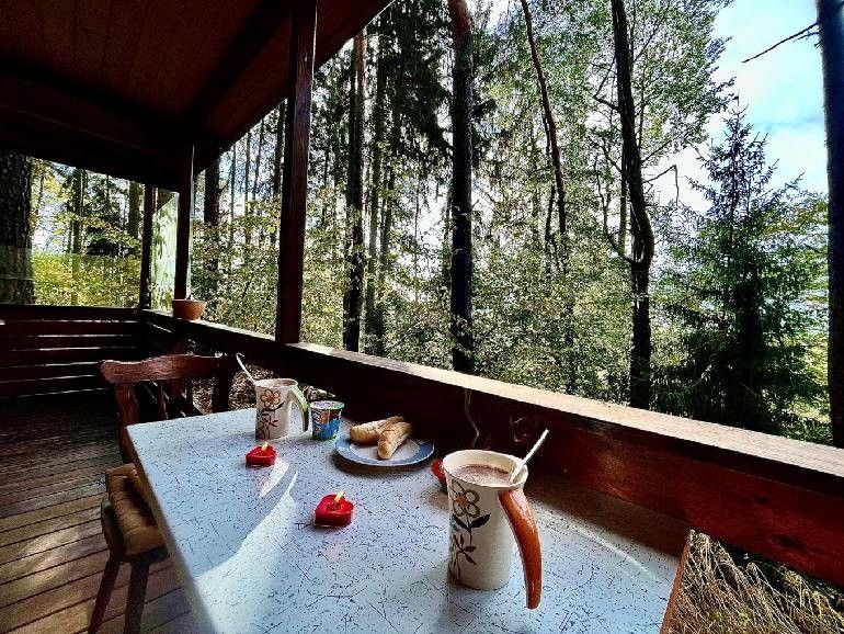 Ostatní, Odlezly, Žihle, 60 m²