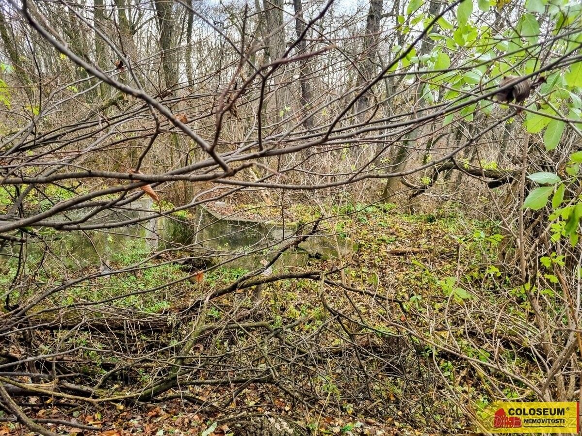 Prodej pozemek pro bydlení - Rousínov u Vyškova, 683 01