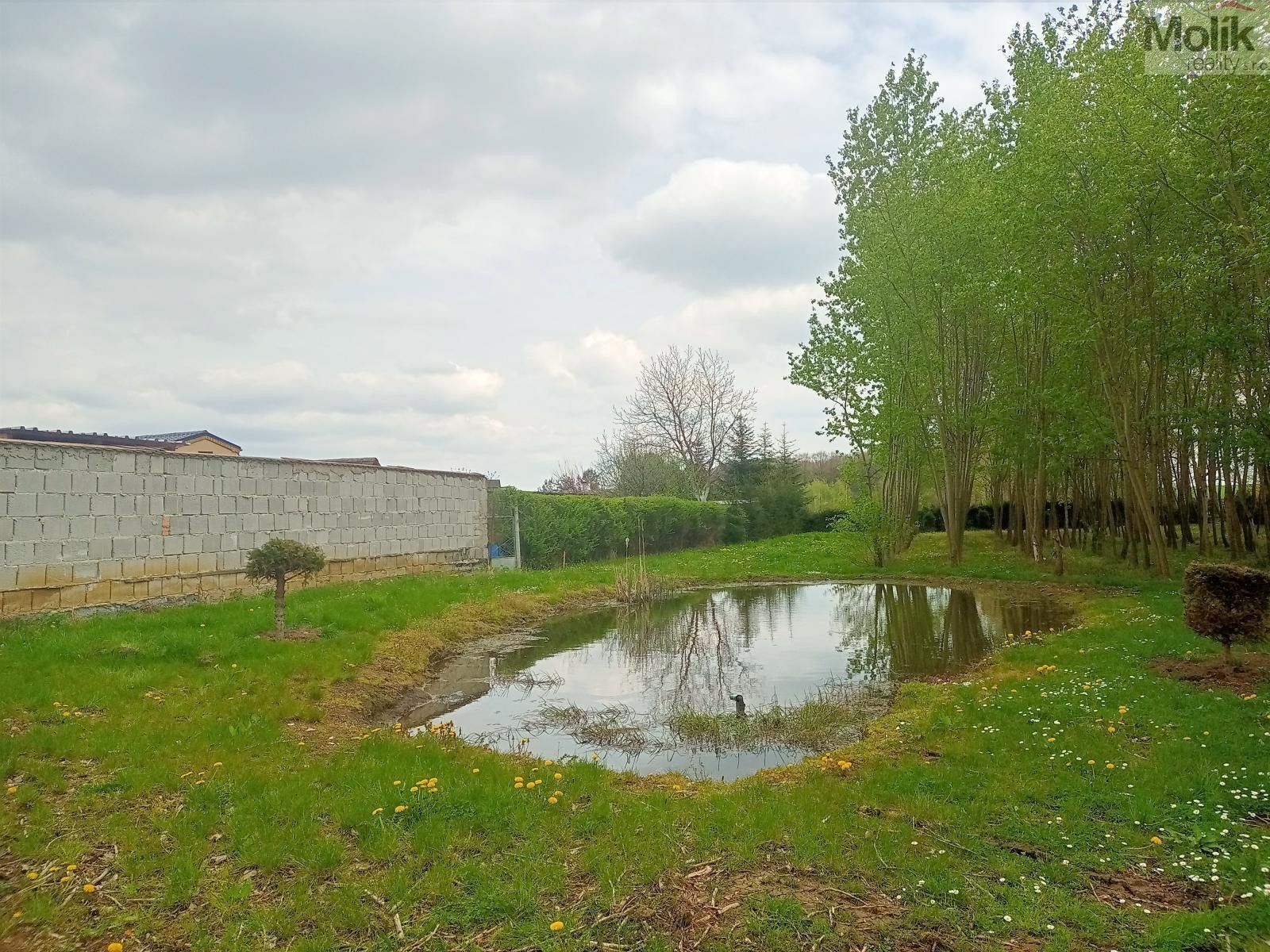 Prodej pozemek pro bydlení - Polní, Otvice, 4 697 m²