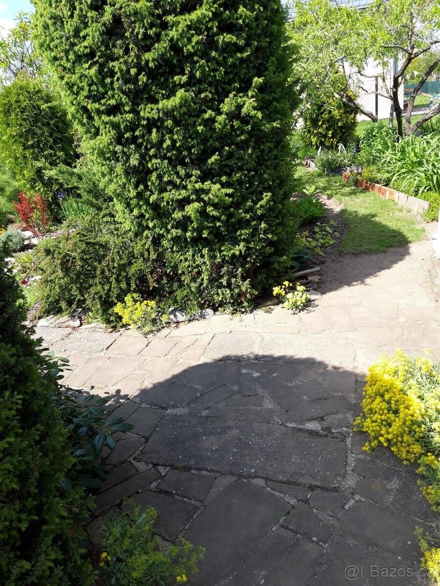 Zahrady, Hradec Králové, 500 02