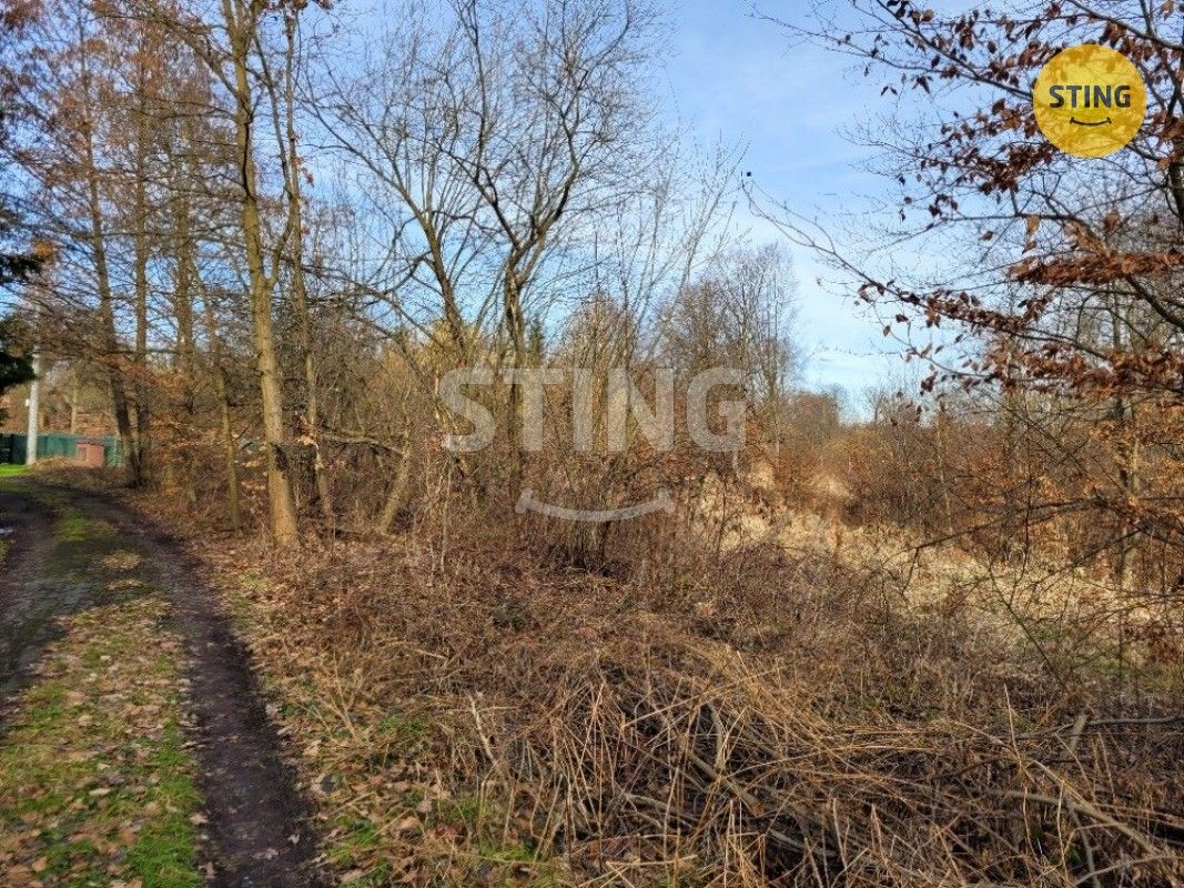 Ostatní, Bezručova, Orlová, 811 m²