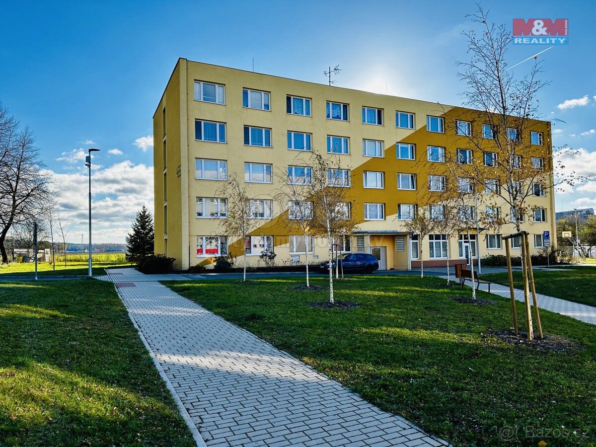 1+1, Planá nad Lužnicí, 391 11, 39 m²