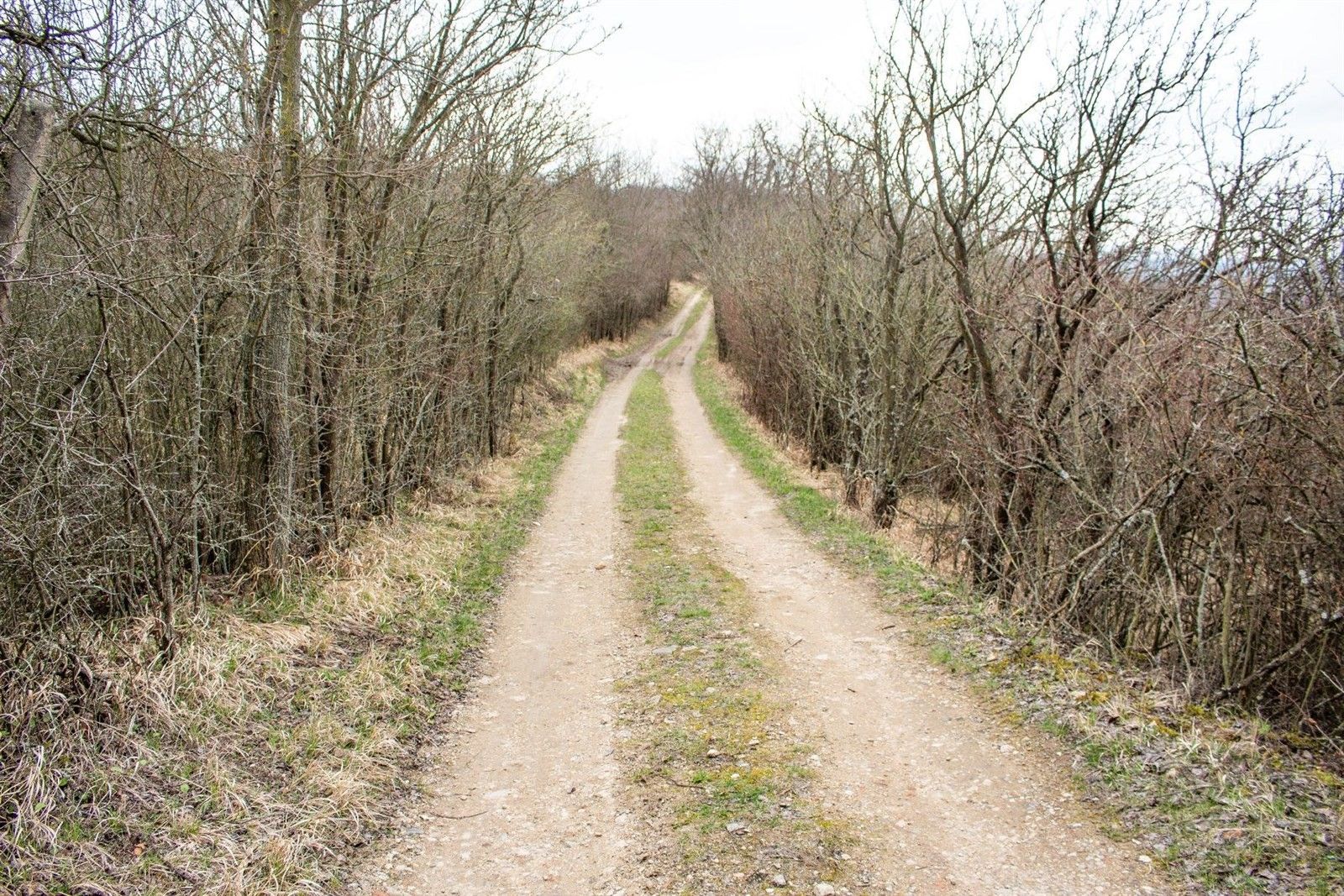 Prodej zemědělský pozemek - Židlochovice, 4 860 m²