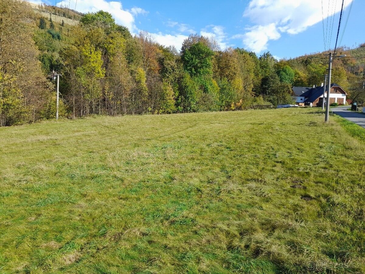 Prodej pozemek pro bydlení - Kozlovice, 739 47, 2 565 m²